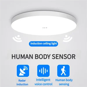Modern Plastic Human Body LED Energy Saving Surface Mounted Ceiling Light with Voice Control Sensor IP33 for Staircase & Balcony