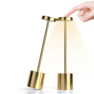 Modern Rechargeable Touch LED Table Lamp Bedside Lamp Living Room DC Power Supply Custom Packing