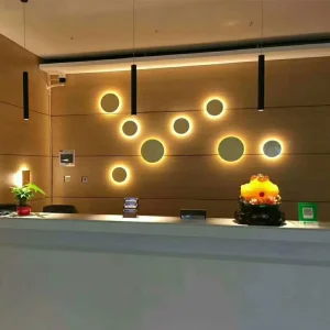 Modern Round LED Wall Lamp Aluminum Wall Sconce Indoor Outdoor Lighting for Home Bedroom Hotel