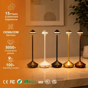 Modern Simplicity Restaurant Bar Hotel Night Light Living Room Bedroom Charger Lamp Touch LED Metal Table Lamp