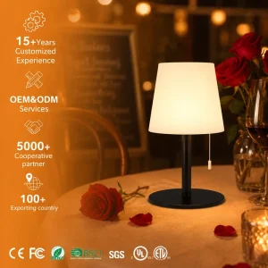Modern USB Charging Plastic LED Night Light Bedside Lamp for Bedroom