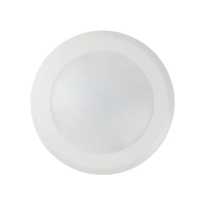 Modern Ultra-Thin One-Piece LED Disk Light, CCT Adjustable, 14-Inch Plastic Flush-Mount Ceiling Panel Light