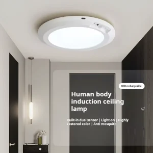 Motion Sensor LED Ceiling Light Wired Wireless USB Rechargeable with Remote for Aisle Cloakroom Balcony
