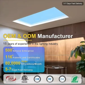 Natural Light LED Ceiling Light for Basement, Garage, Kitchen, Living Room, Passage, Bathroom, Hotel, and Apartment