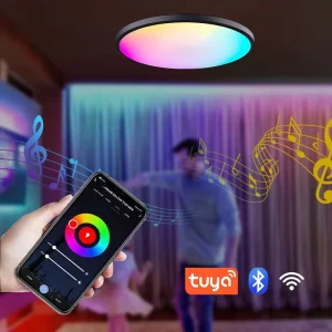 New Arrival AC 220V 24w Smart Wifi Lighting App Control Ceiling Lamp Led Smart Ceiling Light for Bathroom Light