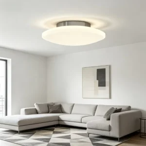 New Arrival Contemporary Energy Saving LED Ceiling Lights Dip Switch Dimmable Color Temp IP22 Rated for Living Room Bedroom