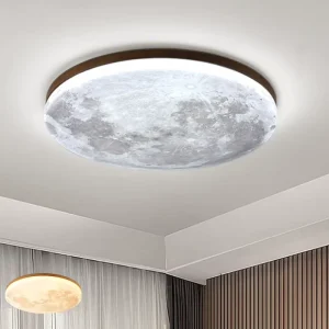 New Chinese Style Moon LED Ceiling Light Nordic Creative Warm Bedroom Light