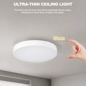 New Design Round 3000K 4000K 6500K PC 32W 48W Designer Modern Living Room Led Ceiling Light