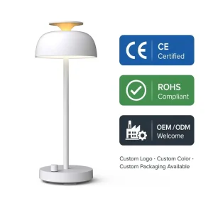 New Multi Function Bedside Lamp 10 Soothing Sleep Sounds 7 Color Ambient Night Light & Dimmable Reading Lamp with Timer
