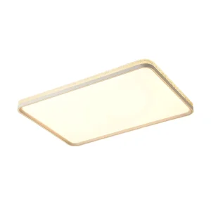 Nordic Aesthetic Suspended Ceiling Light Master Bedroom Dining Room Study Living Room LED Iron Acrylic Voice Control AC High CRI