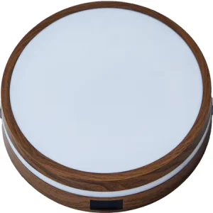 Nordic Circle Design LED Ceiling Lamp Wood Color IP44 for Hallway Corridor