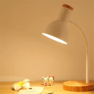 Nordic Desk Lamp with Wood Base and Flexible Gooseneck E27 Table Study Lamp for Office Modern Lighting