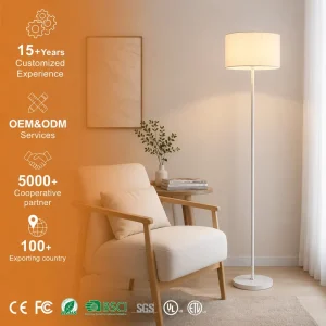 Nordic-Style Iron Floor Lamp with Adjustable Height and Three-Color Dimming LED for Living Room Study Bedroom