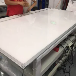 OEM Custom Indoor Customized Shape Ultra Thin IP65 Acrylic Backlight LED Light Panel for Bathroom Landscape Use Modern Design