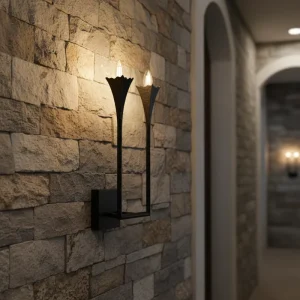 OEM ODM Modern Industrial Design Bathroom Wall Lamp with Black Shade Iron Construction for Bedroom Hallway