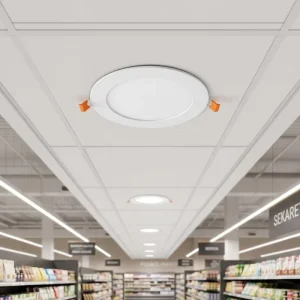 OEM Round ETL LED Ceiling Panel Light 5CCT 2700K 3000K 3500K 4000K 5000K Dimmable
