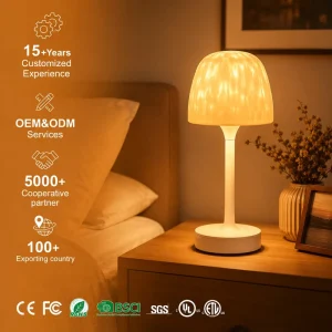 Optical Acrylic Shade Table Light with Type-C Charging Non-Slip Base Living Room Dining Room LED Table Lamp