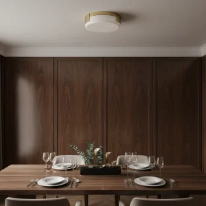 Outdoor IP66 Waterproof Surface-Mounted LED Ceiling Light with Switch Control