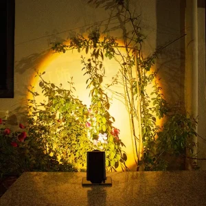 Outdoor LED IP65 Solar Powered Garden Lights with RGB and Twilight Sunset Feature