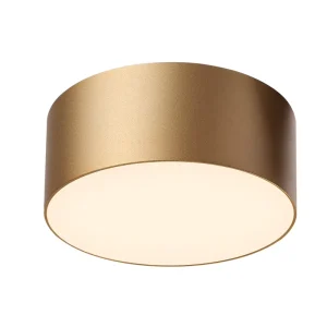 PNY Modern Round LED Ceiling Lamp Indoor Lighting for Kitchen Dining Living Room Aisle Corridor Bedroom Decor Ceiling Light
