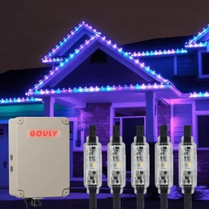 Permanent Christmas LED Pixel Lights Outdoor RGBW 24V Smart App Control IP68 for Buildings and Commercial Decoration
