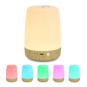 Portable Night Lamp for Baby Modern Nightlight Bedroom Bedside Gift Battery Operated Mood Lighting Timed Automatic Shut Off Lamp