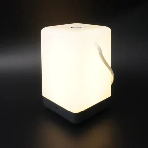 Portable Night Light