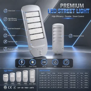 Private Mold LED Street Light AC100 277V IP66 with Smart Control & Dimmable Optional 5 Year Warranty Aluminum Alloy 28800 Lumens