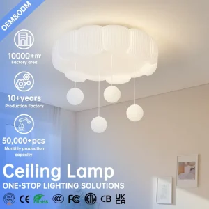 Professional Customization of Intelligent Pendant Lights Floor Lamps Ceiling Lights for Living Room Dining Room Kitchen Bedroom