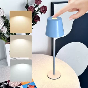 Professional LED Desk Office Lamp Portable Cordless Table Lamp with Ceramic Rechargeable Battery Powered