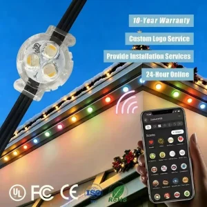 Programmable Smart App Controller 12V 24V 36V Rgbw Pixel Point Lights IP68 Permanent Outdoor Christmas Decoration Lighting