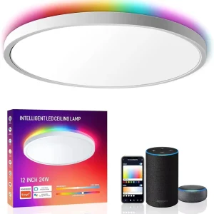 RGB LED Chandelier Ceiling Light for Bedroom and Living Room Moisture-Proof Dust-Proof Voice Control AC