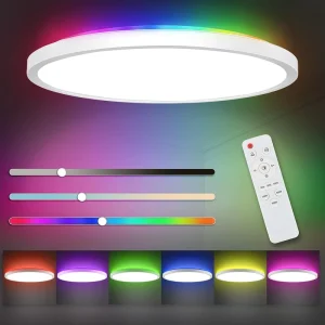 RGB LED Flush Mount Ceiling Light Dimmable Round WiFi Smart Remote and App Control