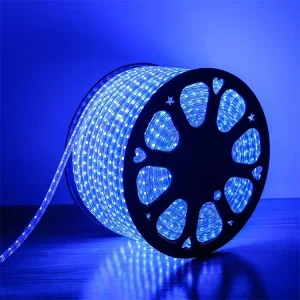 RGB LED Strip Lights Color Changing LED Light Strips 100 220V for Holiday Christmas