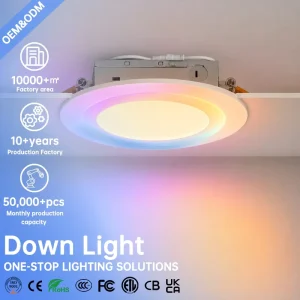 RGBIC LED Recessed Downlight with Junction Box, Dimmable