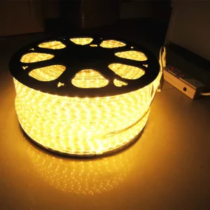 RGBW LED Flex Strip Light DC24V Ra80 IP67 3 Year Warranty 12W m 50000 Hours Decorative Lighting for Theme Park Use