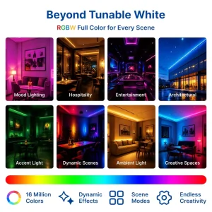 RGBW LED Strip with Wide Gamut, High Color Rendering, Backlight and Decorative Lighting
