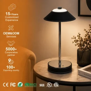 Rechargeable Eye Friendly Dimmable Home Office Living Room LED Desk Lamp