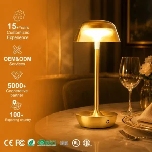 Rechargeable LED Desk Lamp Touch Dimming USB Rechargeable Luxury Design Gray Dome Shade Ambient Lighting for Home Office