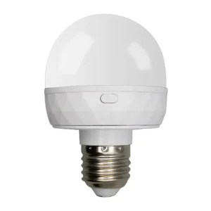 Rechargeable Smart Remote Control Adjustable Color Temperature LED Light Bulb LED Lights Movable Emergency Bulb for Home