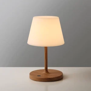 Rechargeable Waterproof LED Table Lamp with Wood & Plastic Construction Multicolored Shade Eco friendly Design Modern Style