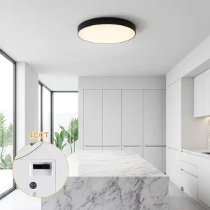 Reliable Price 3000K 6500K PC 32W 48W AC 100 265V Surface Mounted Hotel Ceiling Lamp Dimmable Round Ceiling Lights
