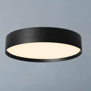 Round Dimmable LED Ceiling Lamp with Remote Control for Living Room