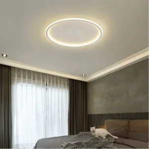 Round Indoor LED Ceiling Light for Bedroom and Living Room