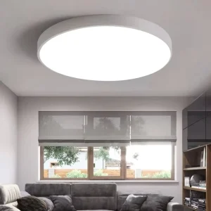 Round LED Ceiling Lamp for Living Room, Bedroom, Corridor, Kitchen, and Kids Room