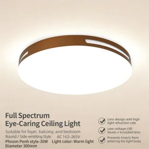 Round LED Metal Pendant Ceiling Lamp for Home or Office