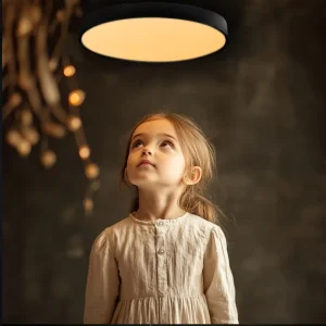 Round Light Fixture LED Ceiling Light Ceiling Led Light Smart Ceiling Light LED Ceiling Lamps Ceiling Lights for Home Bedroom
