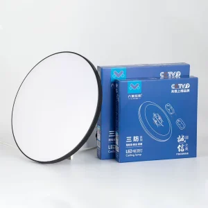 Round Surface-Mounted Modern LED Ceiling Light for Bedroom and Living Room
