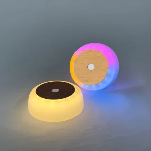 Round Wireless Magnetic Wall Night Light with Human Body Sensor