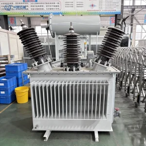 S13 1000kVA Oil-Immersed Transformer 33kV 35kV 0.4kV Copper for Parking Lot Lighting Public Park Power